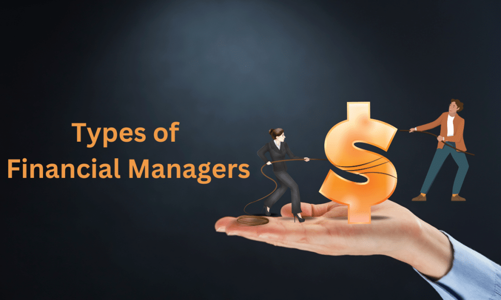 what is a financial manager