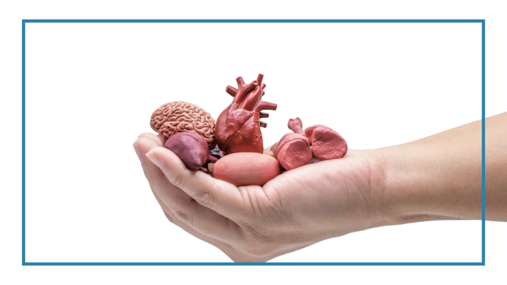 organ donations and transplants
