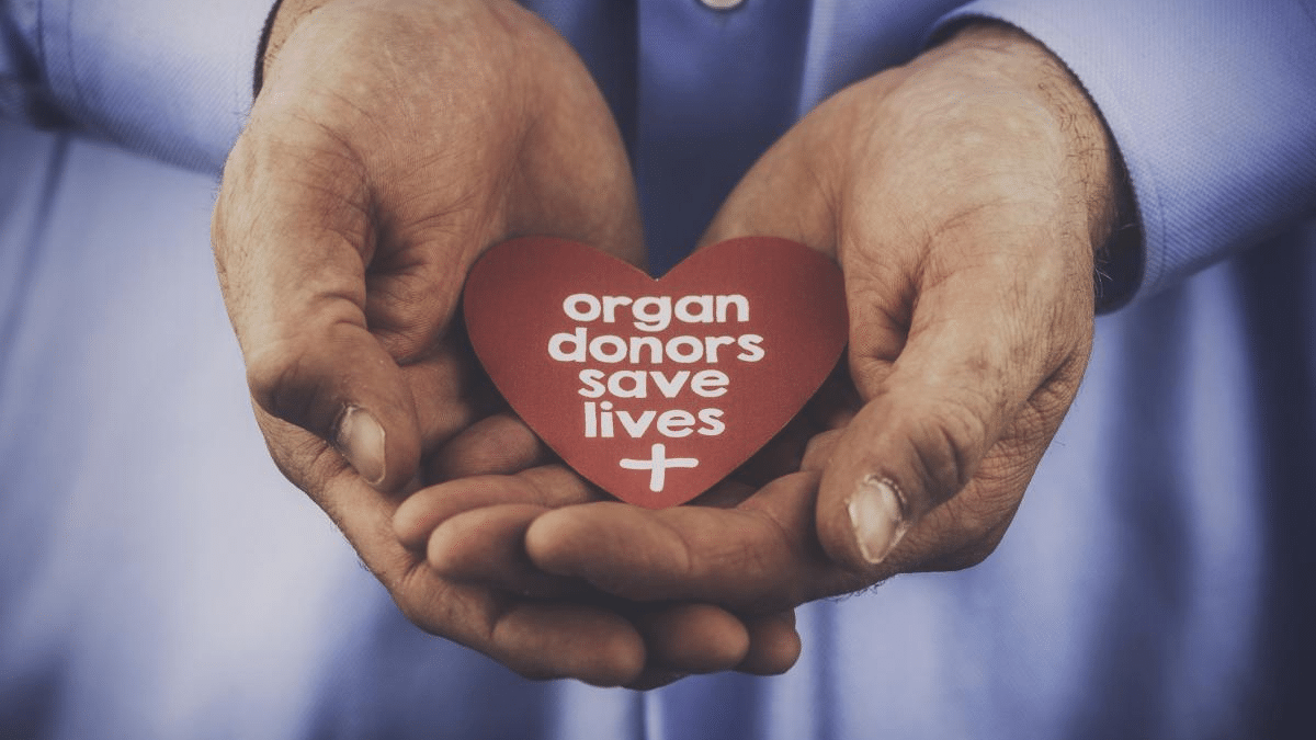 nuturing the gift of lives