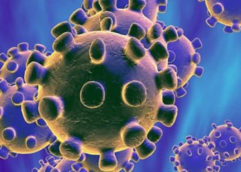 In the Chinese region of Hubei, excluding the capital Wuhan, there have been no new cases of people infected with the coronavirus