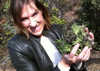 Anne van Leynseele: A Positive Force Behind the Cannabis Industry