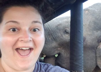 Hotels Featured in TV Shows & Movies — Luxury Travel Advisor Nadia Bess’ Ultimate Guide on Hotels