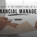 what is a financial manager