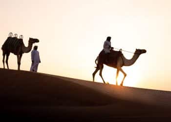 The 4 Essential Ps of Effective Photography