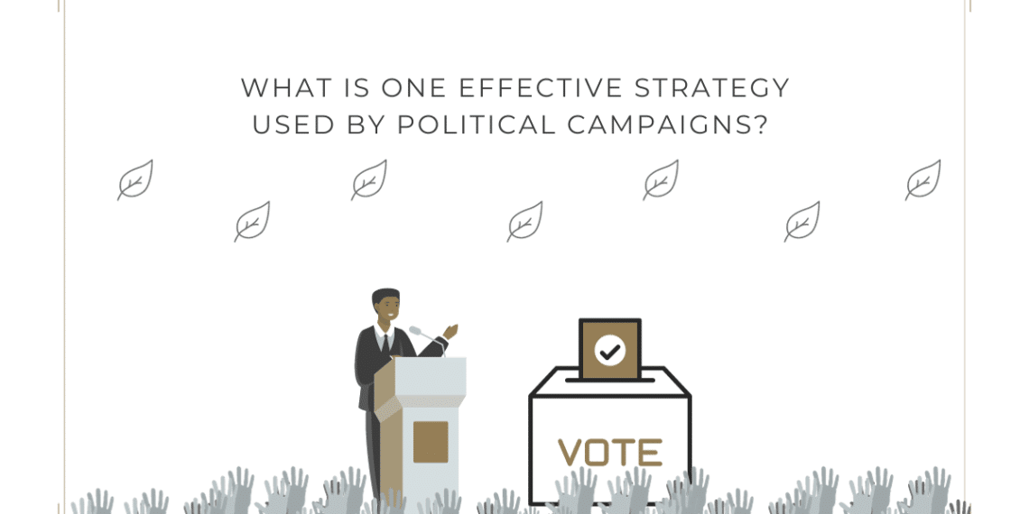 effective strategy political campaigns