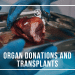 organ donations and transplants