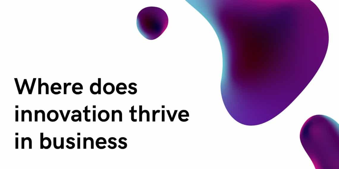 Where does innovation thrive in business