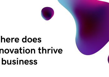 Where does innovation thrive in business