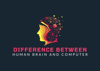 differences between the human brain and computer