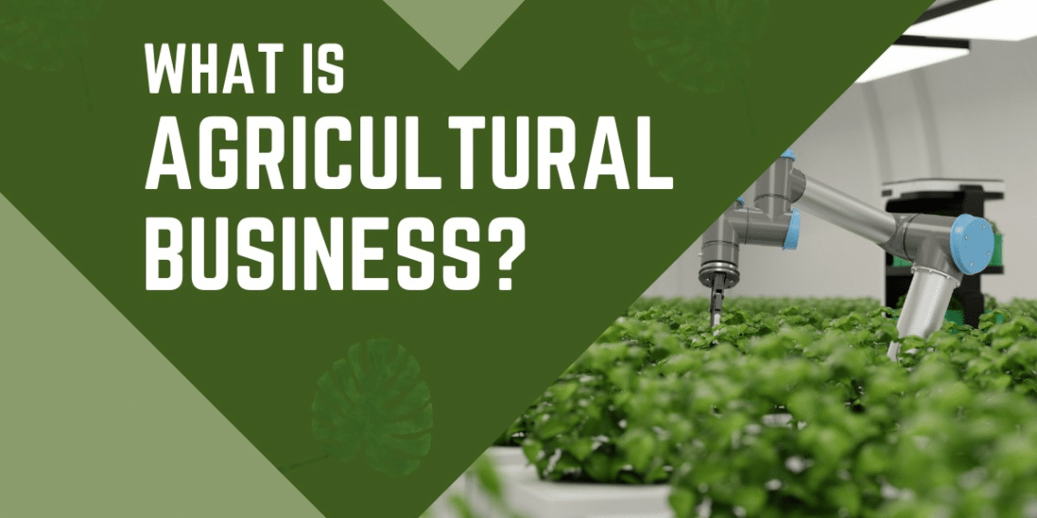 What Is An Agricultural Business?