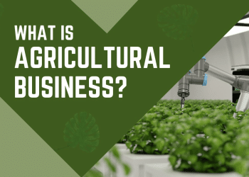 What Is An Agricultural Business?