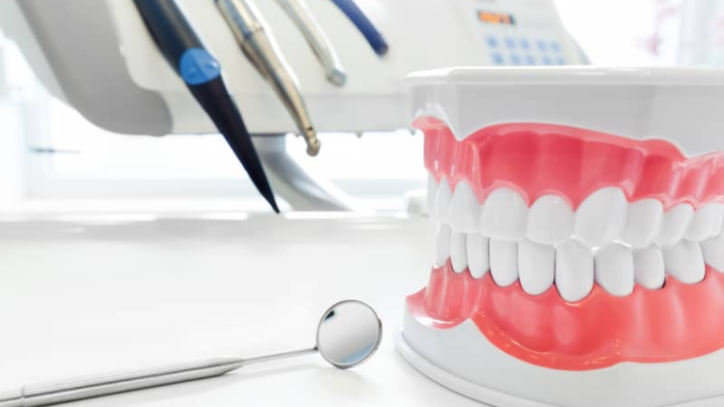 Dental Cleanings and Exams